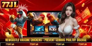 Newcastle Vaccine Chickens – Prevent Serious Poultry Disease