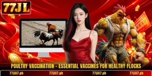 Poultry Vaccination – Essential Vaccines For Healthy Flocks